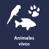Agencia aduanal, despacho, logística, recolección, entrega, almacenamiento, paquetería, envíos, Ciudad de México, comercio exterior