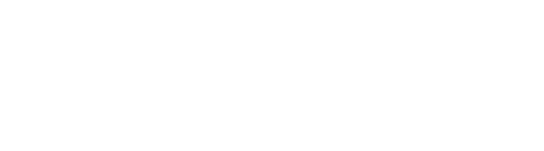 Agencia aduanal, despacho, logística, recolección, entrega, almacenamiento, paquetería, envíos, Ciudad de México, comercio exterior